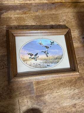 Vintage Small Framed Mallard Duck Print Wall Art